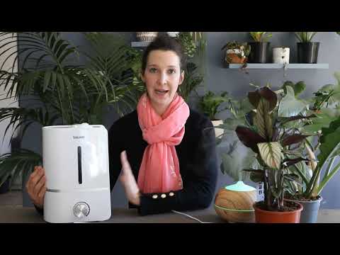 How to use a humidifier for your plants