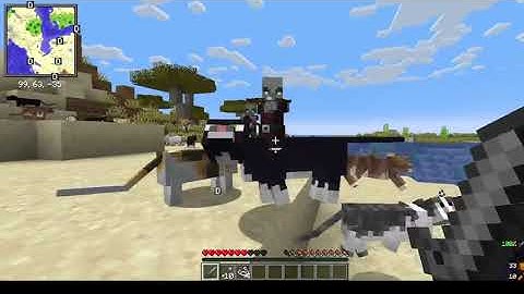 Cat Toss Plugin dev (Beta testing) - Minecraft Bukkit