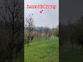 Lower Dir Beauty #rain #winter #beautiful