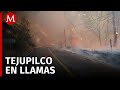 Activan alerta por incendio forestal en Tejupilco, Edomex