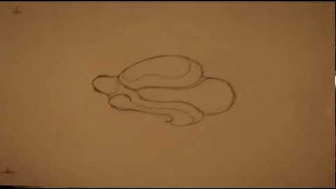 Sketchbook Animation #2