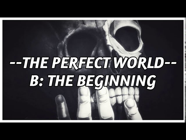 B: The Beginning Ending- The Perfect World by Marty Friedman 