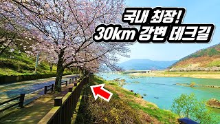 🚅 저는 여기 매년 옵니다! 경상도와 전라도를 가로지르는 국내 최장 '30km' 강변 데크길 | 📸 대중교통 여행 | 트레킹 | The longest Trail in KOREA