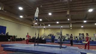 Colt Walker - Parallel Bars - 2019 Winter Cup Junior Prelims