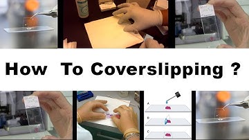 How To Coverslipping ? ( Clear explain Proper way )