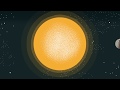 Video Tutorial Quiz
