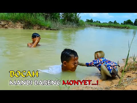 WOW...!! MONYET MANDI BARENG BOCIL ||  Renang Seperti Manusia