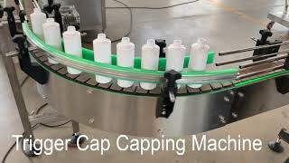 Trigger Cap Capping Machine Profile