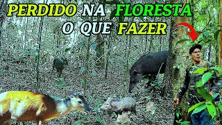 Ao entrar na floresta para registrar a vida selvagem o risco de se perder é grande! Como fazer?