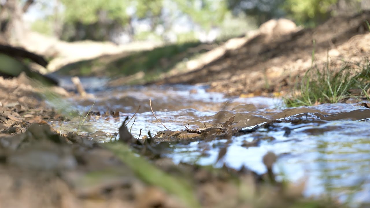 Acequia de Aynadamar: el regreso de las lágrimas de la fuente