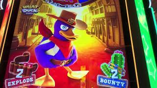Giving Dusty a 2nd try on What the Duck?! Does he do better or worse?! 