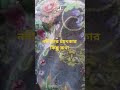 নবীজির চমৎকার কিছু কথা 🤲 #shorts #viral #islamic #trending #short #video #religionঈ