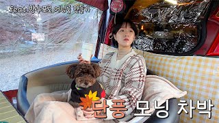 [64]경차모닝차박/영하1도, 다이소 방수포로 어닝룸 만들기!/단풍 나무 아래 강아지와 보낸 힐링 가득한 하루/🎉구독자이벤트🎉/단풍숲캠핑장