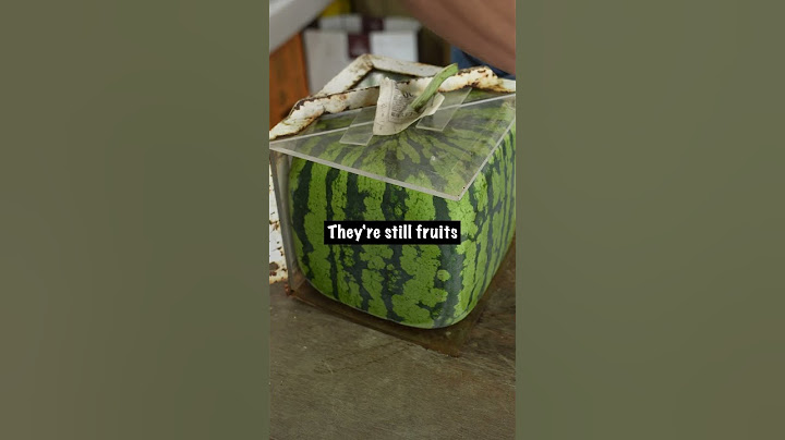 Square Watermelon Timelapse
