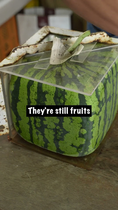Square Watermelon Timelapse