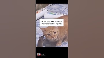 Only programmers could understand #coding #programming #javascript #python