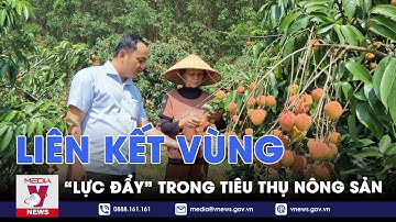 Liên kết vùng - “Lực đẩy” trong tiêu thụ nông sản - VNEWS