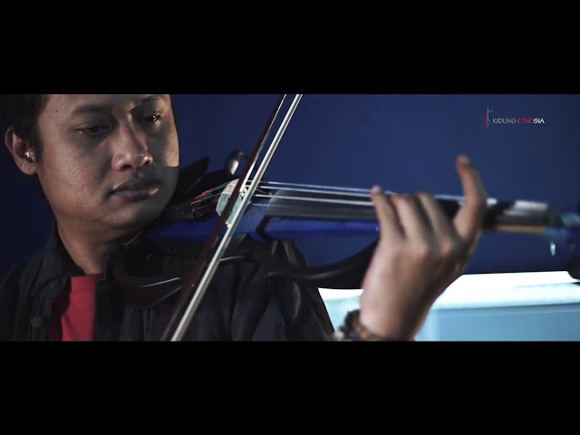 Kal Ho Naa Ho  ( cover violin ) class=