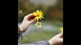 Stori Wa [ Sejarah Mungkin Berulang ] New Boys