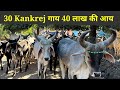 | नीलकंठ गौ विज्ञान केंद्र कच्छ | Kankrej गायो का Breeding Farm, गोबर उत्पादों की Factory👍