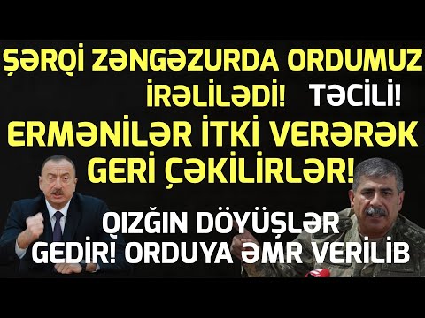 Video: Hansı Məməlilər Gecədir?