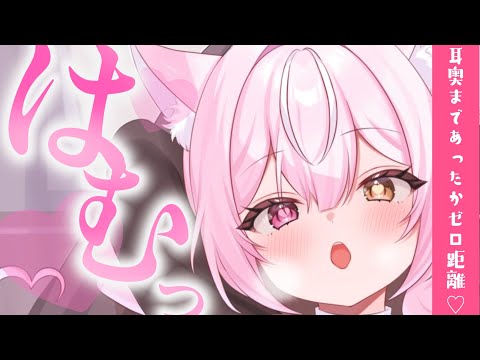 【#ASMR】はむっと癒されちゃう？♡睡眠導入　EarHealing/Japanese/Vtuber【　#新人Vtuber/夜酔よよめ】