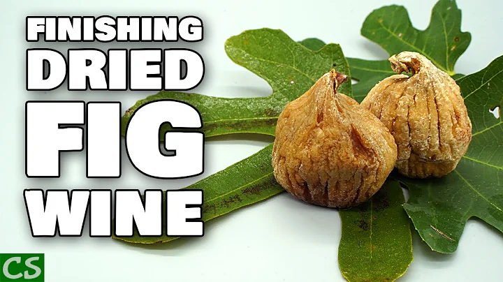 Fig Wine Finishing and Bottling -Backsweeten with ...