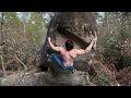 La gaule 7c fontainebleau