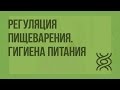 Регуляция пищеварения. Гигиена питания. Видеоурок по биологии 8 класс