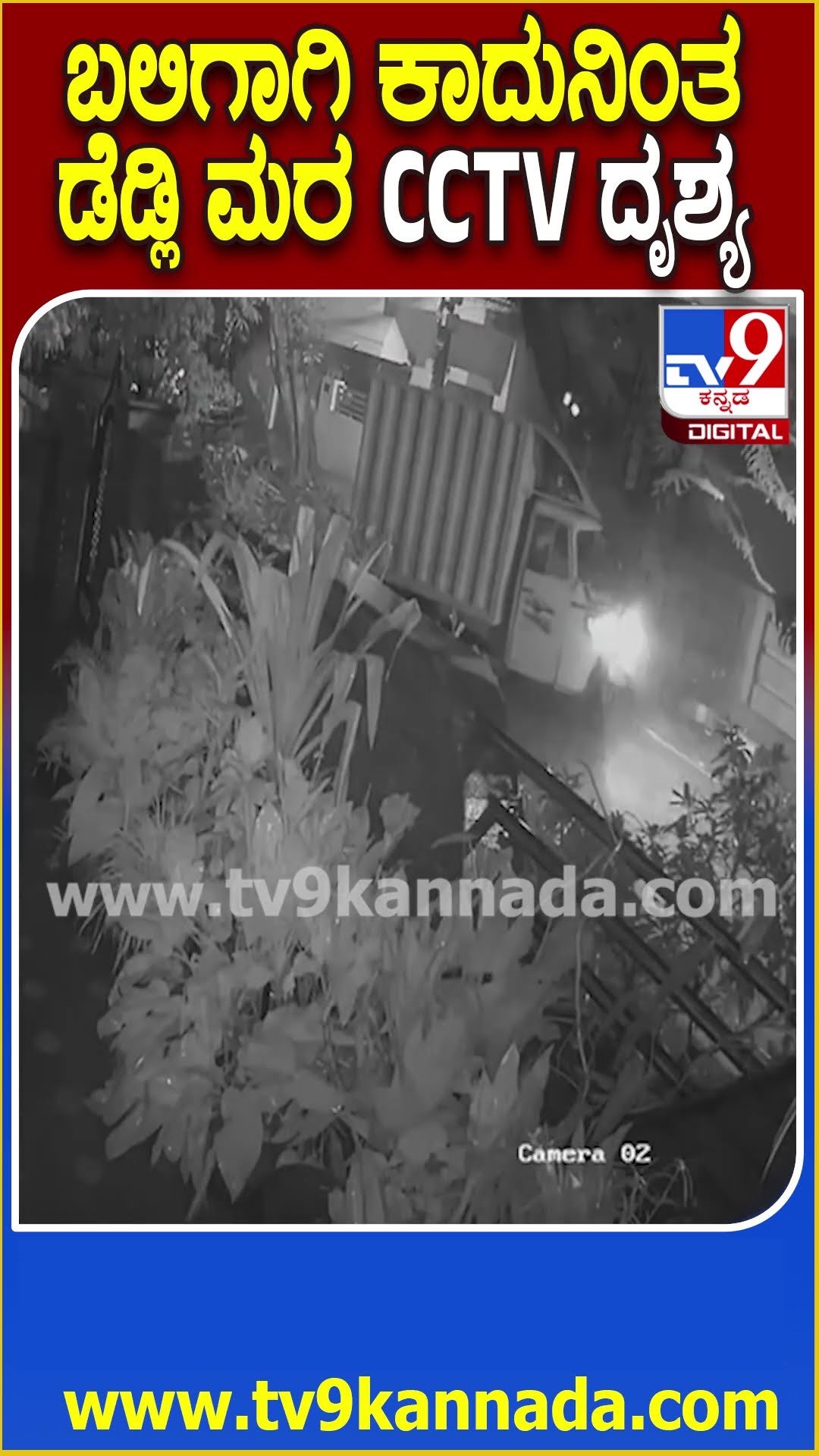 Danger tree: ಕಣ್ಮುಚ್ಚಿ ಕೊಳ್ಳಿತ BBMP, ರಸ್ತೆಗೆ ಚಾಚಿ ನಿಂತ ಮರಕ್ಕೆ ನಿತ್ಯ ಹಲವು ವಾಹನ ಡಿಕ್ಕಿ | #TV9D