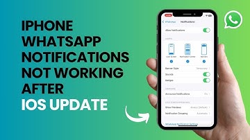How To Fix iPhone WhatsApp Notification not Showing After iOS Update