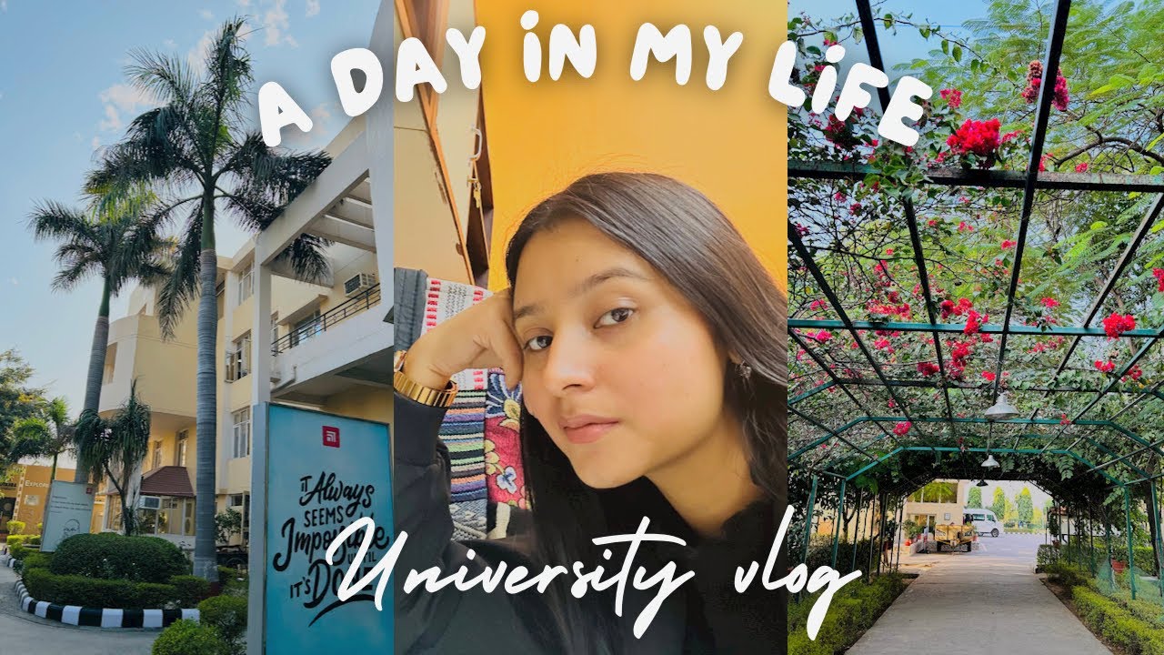 A day in my life as an Assistant Professor 👩‍🏫 | University Vlog ...