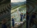 What if you give Ai to ancient China? #viral #curiosity #history