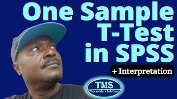 One Sample T-Test in SPSS and Interpretations