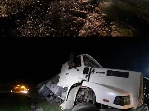 Caminhão carregado com farelo tomba na BR-277 em Paranaguá