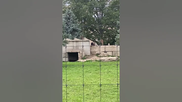 Boulder Ridge Animal Park September 18, 2022