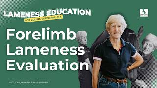 Forelimb Lameness Evaluation: Ridden Exams and Gait Interpretation