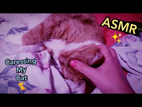 ASMR Personal Attention To My Cat ~ Relaxing cat video, tapping, petting, brushing, hand movements
