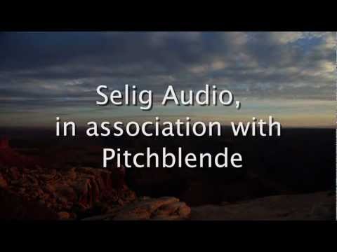 Announcing: the Selig Leveler, from Selig Audio