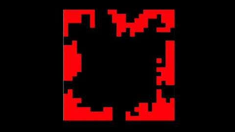 Voter model on a 25x25 lattice
