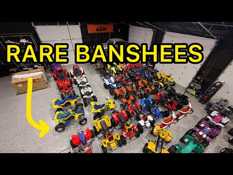 Shop Tour Hanging TWO Ultra Rare Yamaha Banshees Unicorns