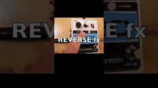 720 Looper Use "REVERSE" ~ Electro Harmonix