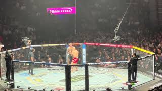 Jiri Prochazka vs Aleksandar Rakic UFC 300