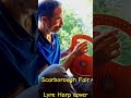 Scarborough Fair (Lyre Harp). Beginner version.