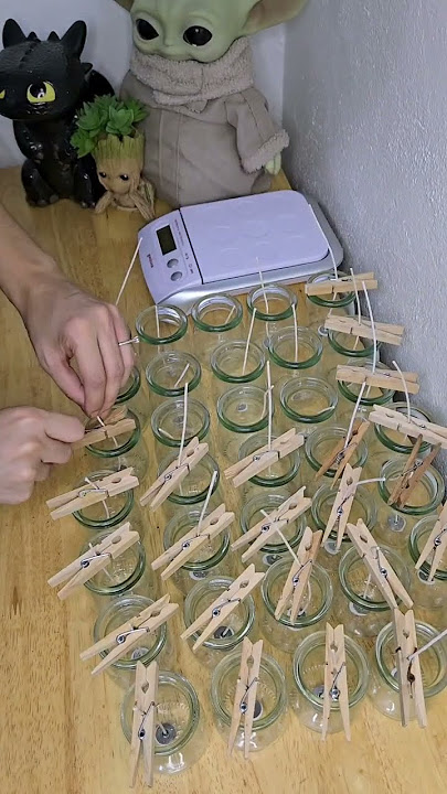 La orden más grande | 35 velas aromáticas de cera de soja