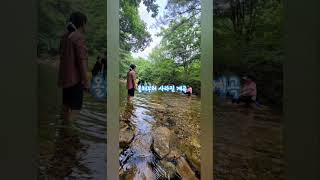 자연보호를 위해 사라진 계곡. #계곡여행 #여름휴가 #계곡 #충북계곡