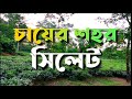 Sylhet tour      sylhet travel by carwe5tv travel lifestyle