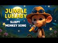 Drift Off to Sleep | Gentle Monkey Lullaby for Peaceful Nights