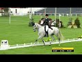 #MMBHT 2017 Guinea Pig test - Will Furlong