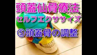頭蓋仙骨治療 II 頭蓋仙骨治療Ⅱ 硬膜を越えて | ジョン・E・アプレジャー,D.O.,F.A.A.O